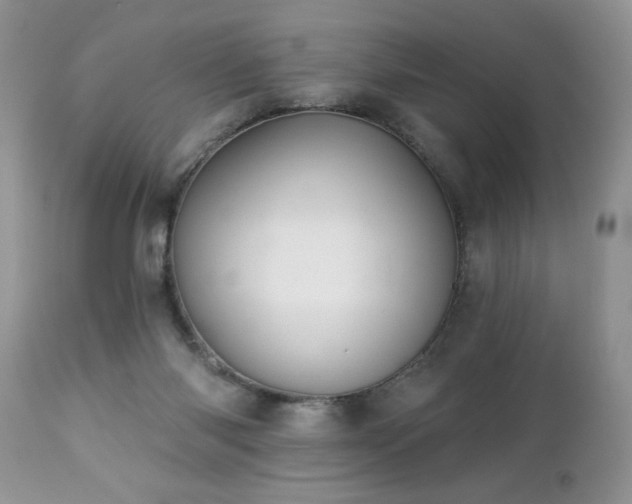 X0000112840118200908211250