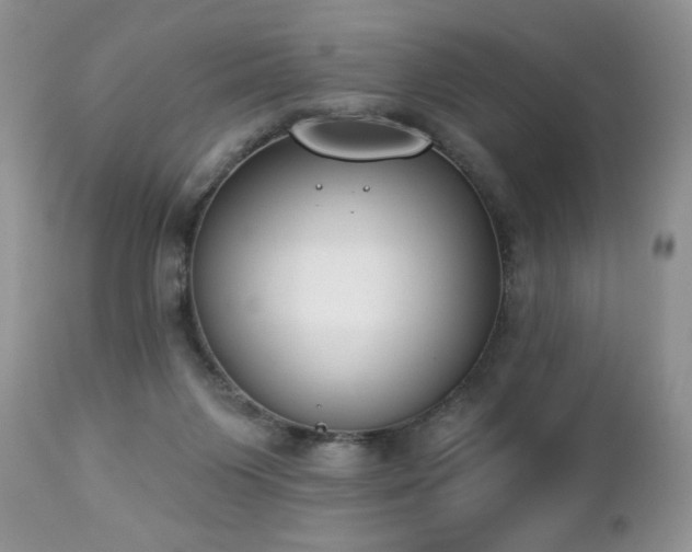 X0000112840119200908211250