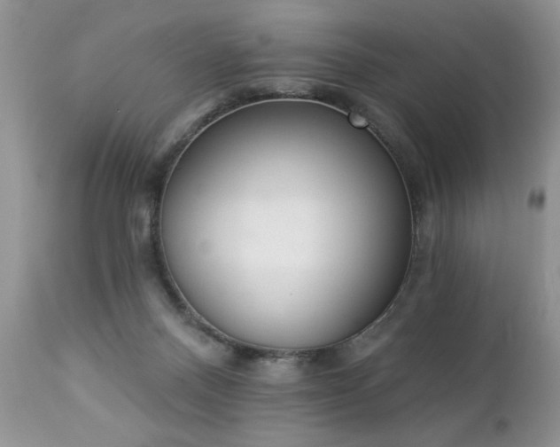 X0000112840120200908211250