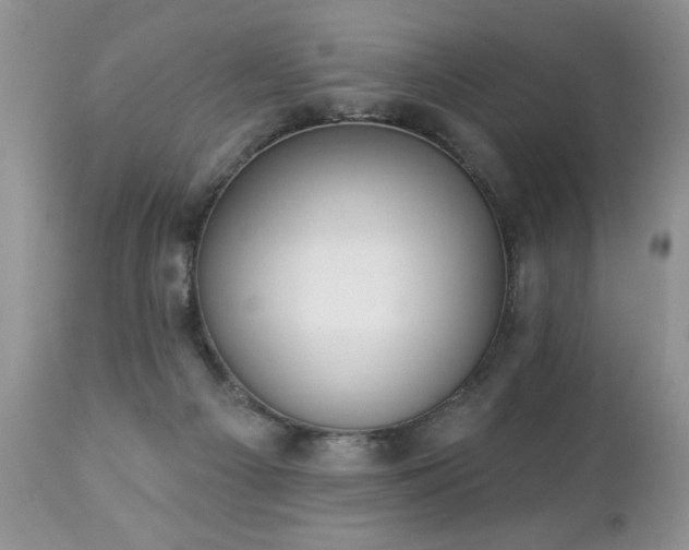 X0000112840121200908211250