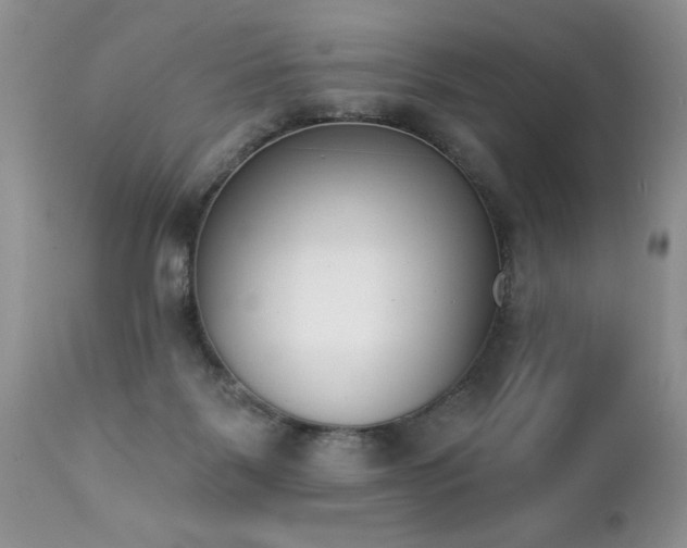 X0000112840123200908211250