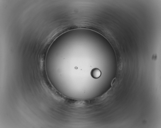 X0000112840124200908211250