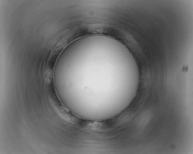 X0000112840125200908211250