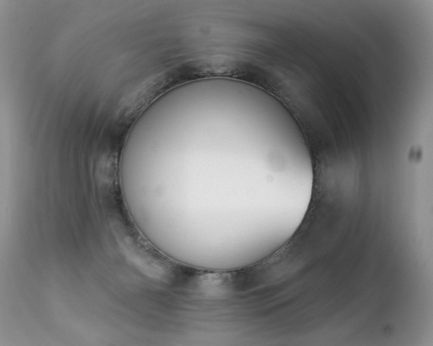 X0000112840126200908211249