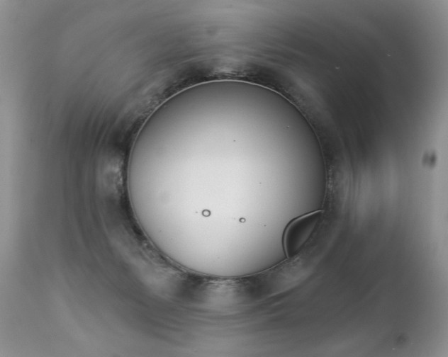 X0000112840127200908211249