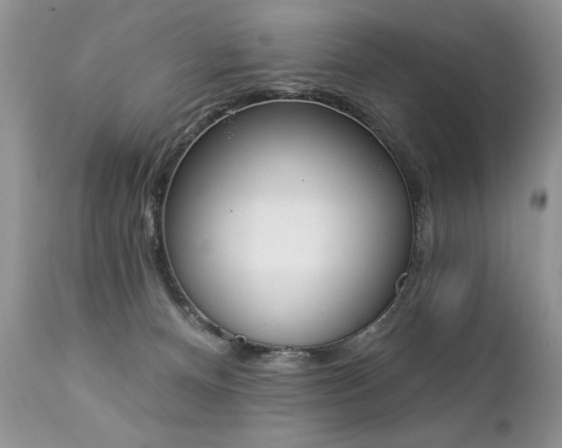 X0000112840128200908211249