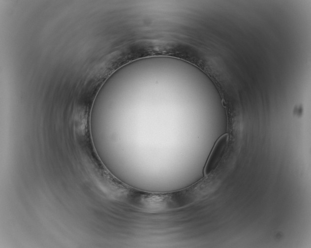 X0000112840129200908211249