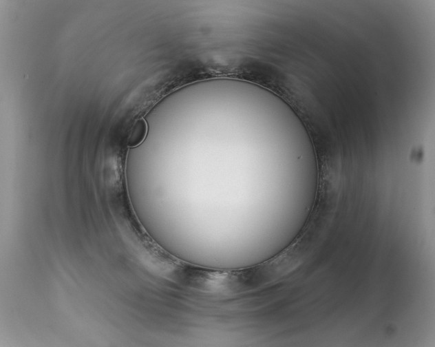 X0000112840130200908211249