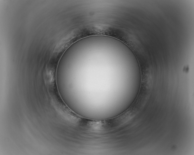 X0000112840131200908211249