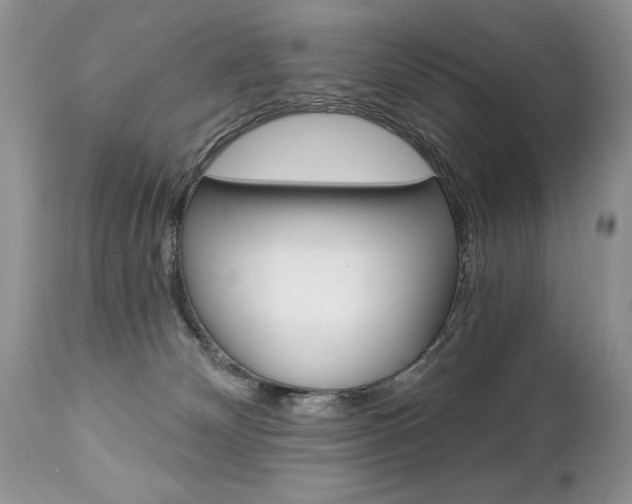 X0000112840132200908211249