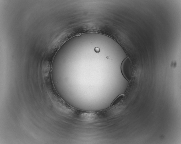 X0000112840133200908211249