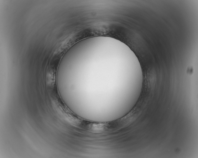 X0000112840134200908211249