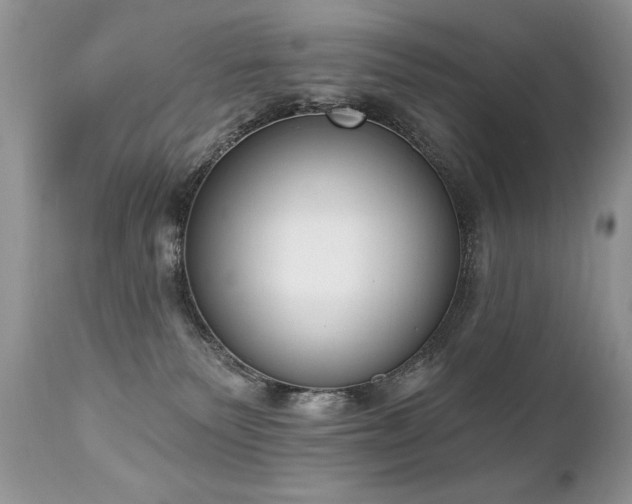 X0000112840135200908211249