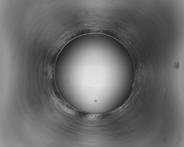 X0000112840136200908211249