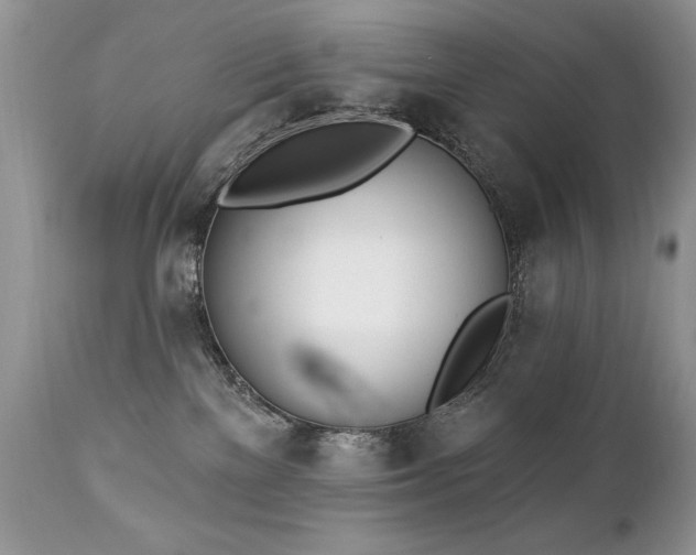 X0000112840137200908211249