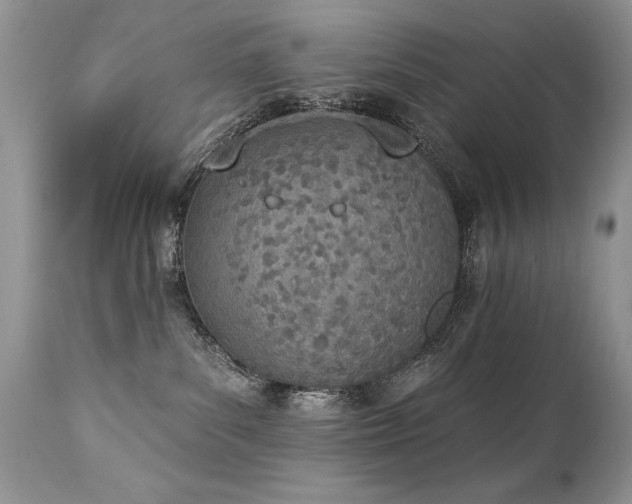 X0000112840139200908211249