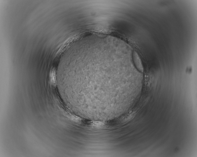 X0000112840143200908211249