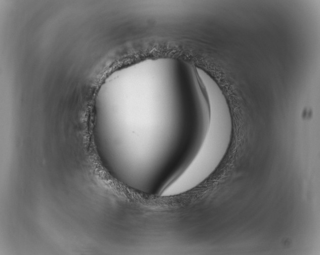 X0000112840144200908211249