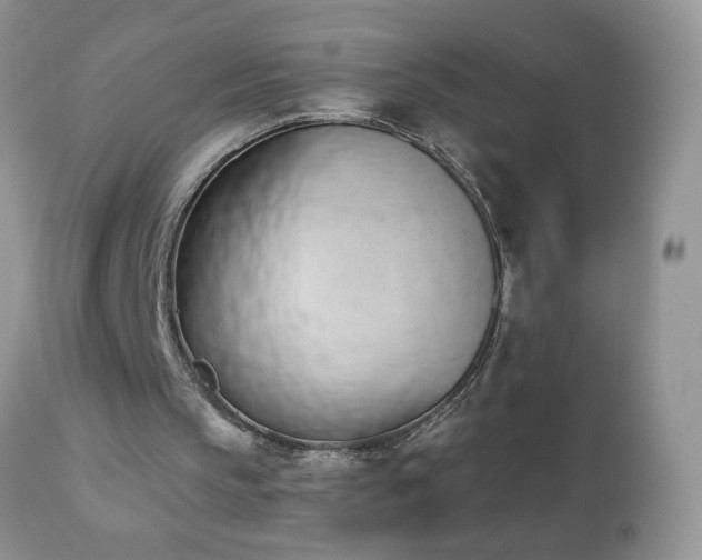 X0000112840145200908211249