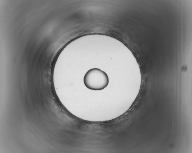 X0000112840146200908211249