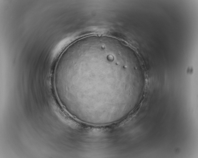 X0000112840149200908211249