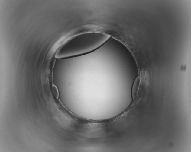 X0000112840150200908211249