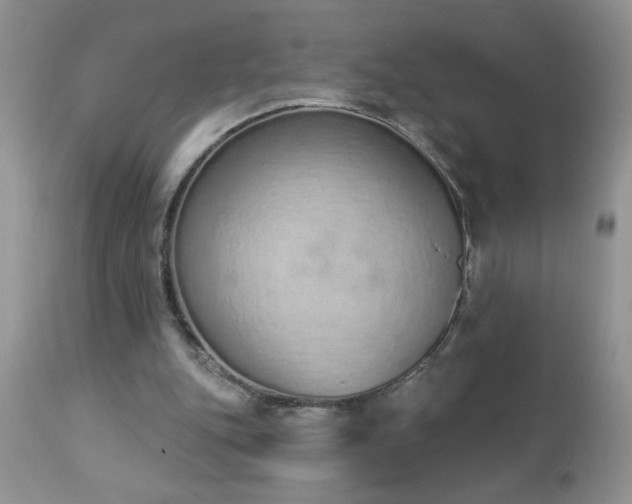 X0000112840151200908211249