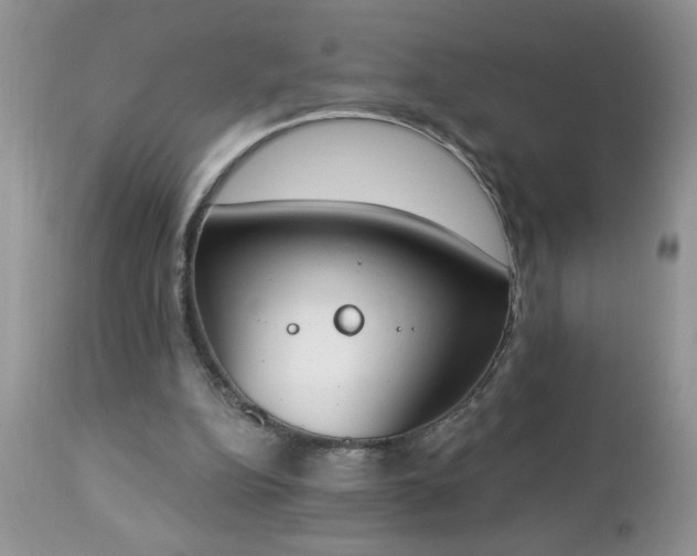 X0000112840152200908211249