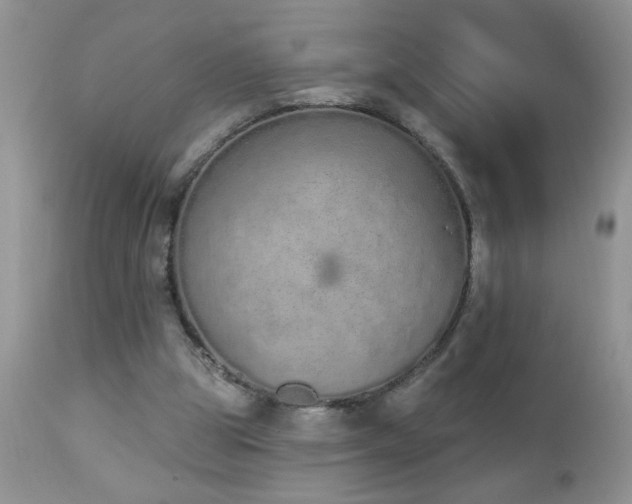 X0000112840153200908211249