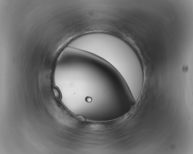 X0000112840154200908211249