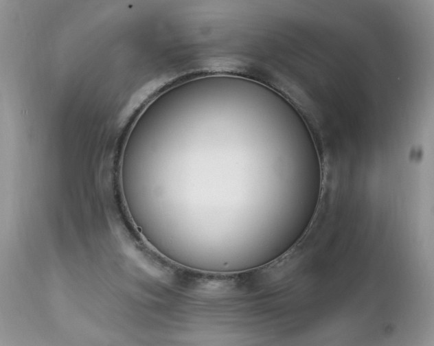 X0000112840155200908211249