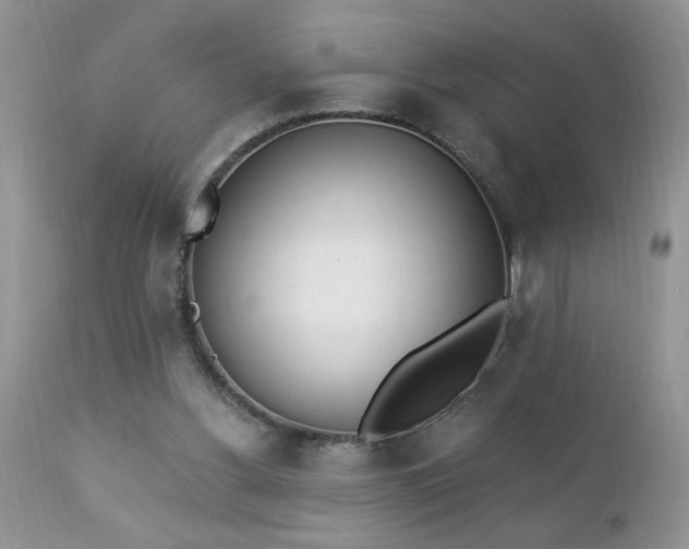 X0000112840156200908211249