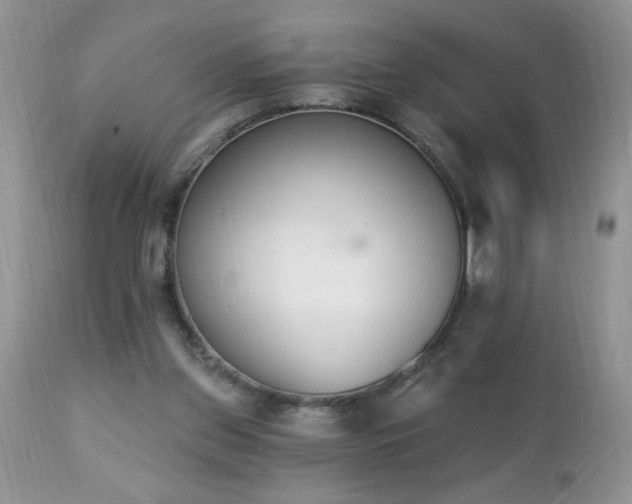 X0000112840157200908211249