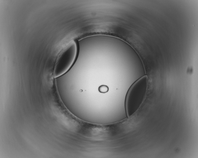 X0000112840160200908211249