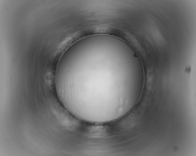 X0000112840161200908211249