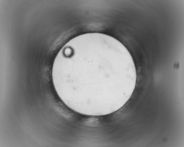 X0000112840162200908211249