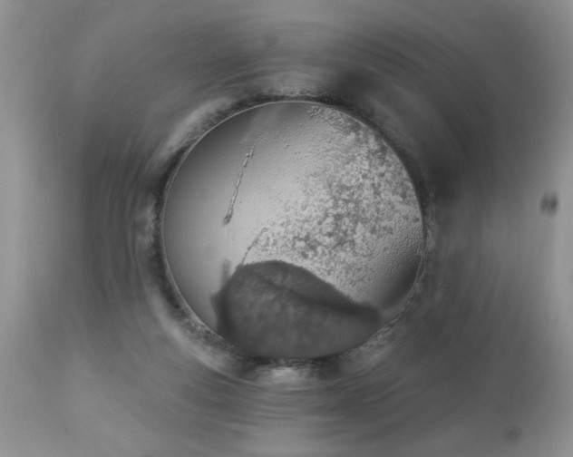 X0000112840163200908211249