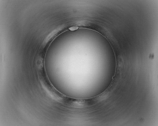 X0000112840164200908211249