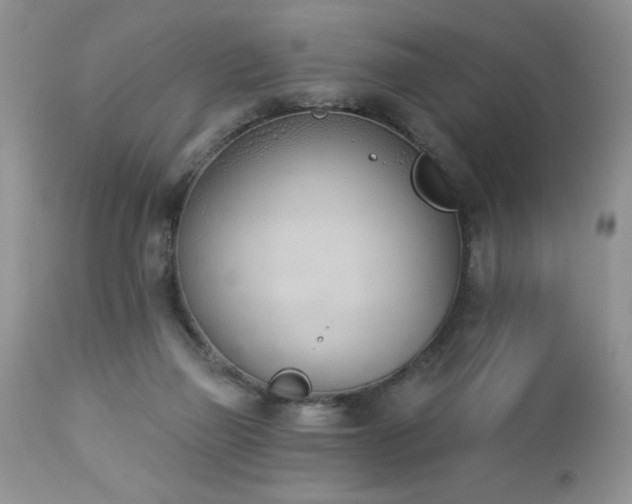 X0000112840165200908211249