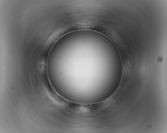 X0000112840166200908211249