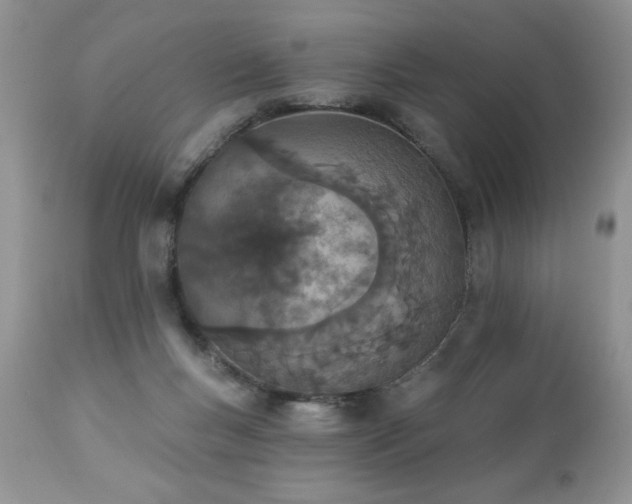 X0000112840167200908211249