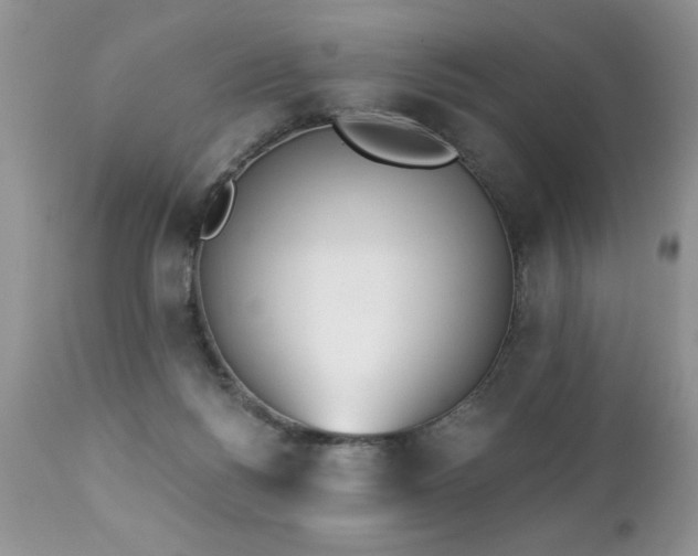 X0000112840168200908211249