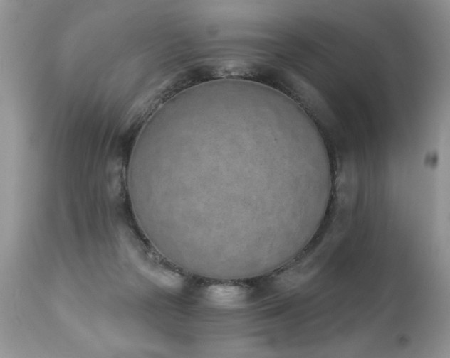 X0000112840169200908211249