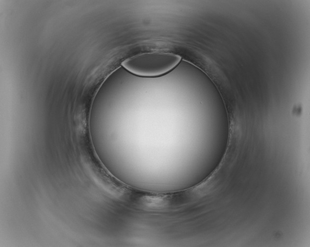 X0000112840170200908211249