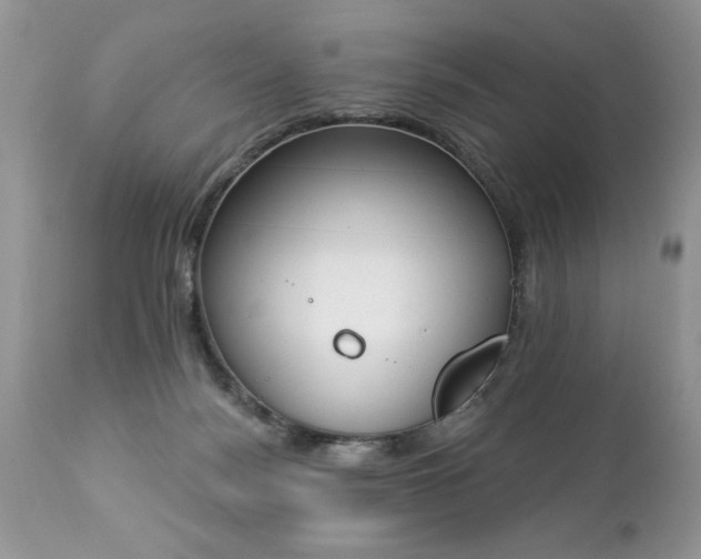 X0000112840172200908211249