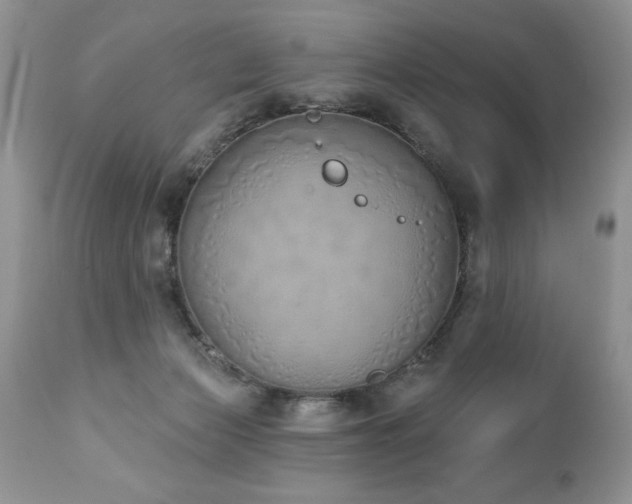 X0000112840173200908211249