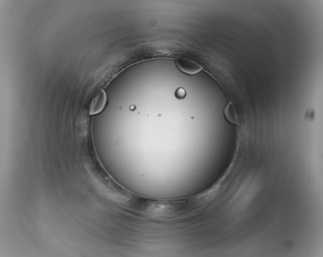 X0000112840174200908211249