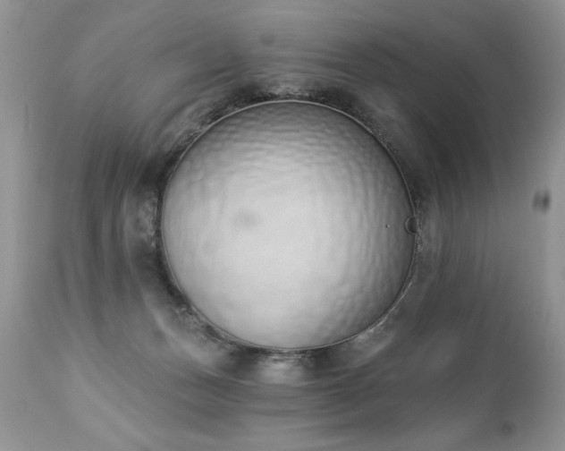 X0000112840175200908211249