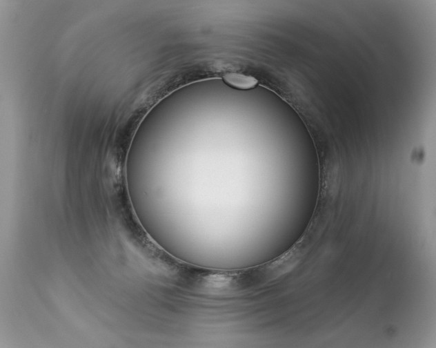 X0000112840176200908211249