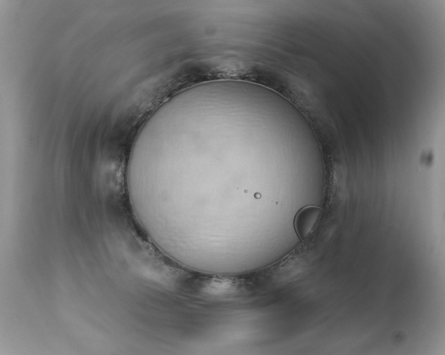 X0000112840177200908211249